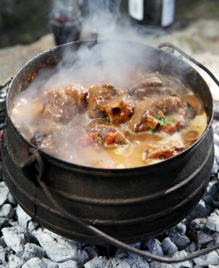 stew Cooking dog food