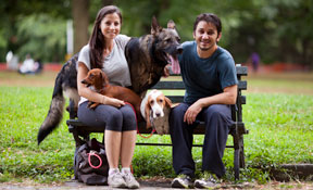 NYC Doggies Team