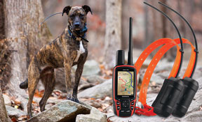 Garmin GPS Collars