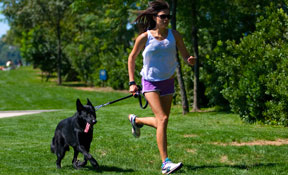 Running dog walker