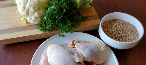 Dog food recipes