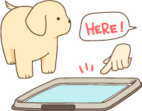 teach illustration of puppy being shown where to go potty