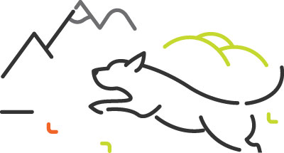 Illustration of dog hiking