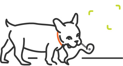 Illustration of puppy playing with a stuffed toy