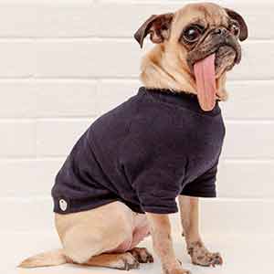 Dog Pullover