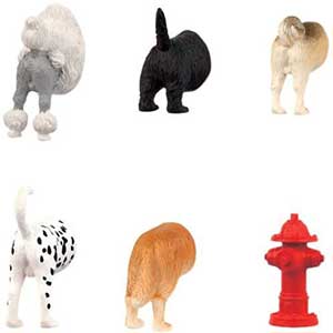 dog buts magnets