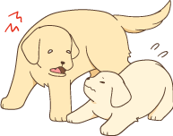adult_play3 illustration of a puppy and adult dog playing