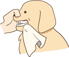 illustration of puppy having its teeth cleaned