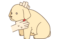 illustration of puppy being picked up