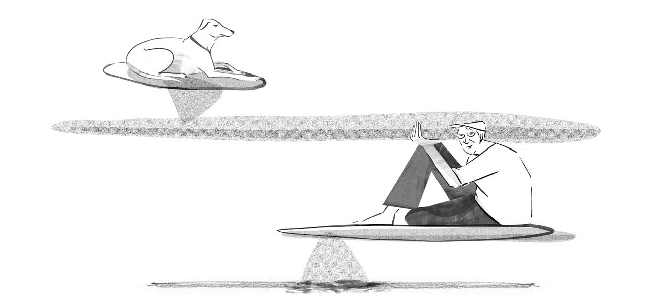 illustration of dog and man balancing