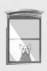 Illustration of sad dog looking out the window