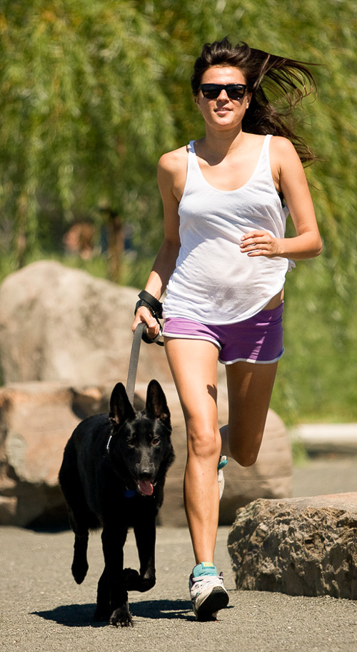NYC Doggies dog walker running with German Shepherd Dog