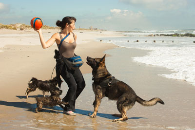 Woman playing ball with three dogs at the beach